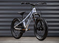 EARLY RIDER Charger 16 Kids Bike - Arctic Blue/Brushed