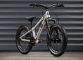 EARLY RIDER Charger 16 Kids Bike - Brushed Aluminium