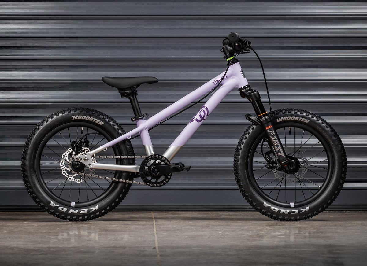 EARLY RIDER Charger 16 Kids Bike - Violet Haze/Brushed