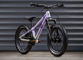 EARLY RIDER Charger 16 Kids Bike - Violet Haze/Brushed