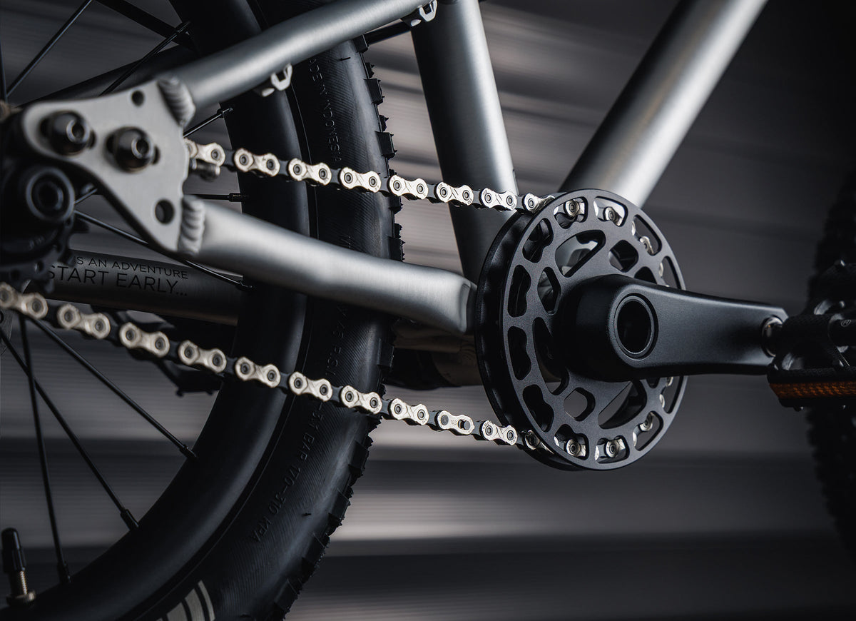 EARLY RIDER Charger 16 Kids Bike - Violet Haze/Brushed