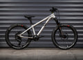 EARLY RIDER Charger 20 Kids Bike - Brushed Aluminium