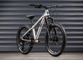 EARLY RIDER Charger 20 Kids Bike - Brushed Aluminium