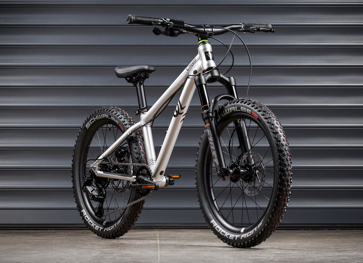 EARLY RIDER Charger 20 Kids Bike - Brushed Aluminium