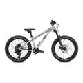 EARLY RIDER Charger 20 Kids Bike - Brushed Aluminium