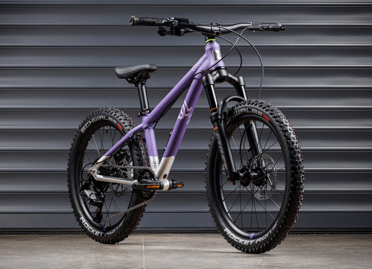 EARLY RIDER Charger 20 Kids Bike - Electric Purple/Brushed