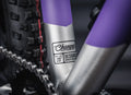 EARLY RIDER Charger 20 Kids Bike - Electric Purple/Brushed