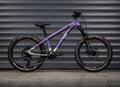 EARLY RIDER Charger 20 Kids Bike - Electric Purple/Brushed