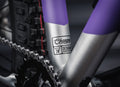 EARLY RIDER Charger 24 Kids Bike - Electric Purple/Brushed