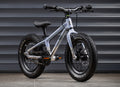 EARLY RIDER Seeker 14 Kids Bike - Arctic Blue/Brushed