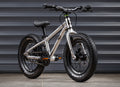 EARLY RIDER Seeker 14 Kids Bike - Brushed Aluminium