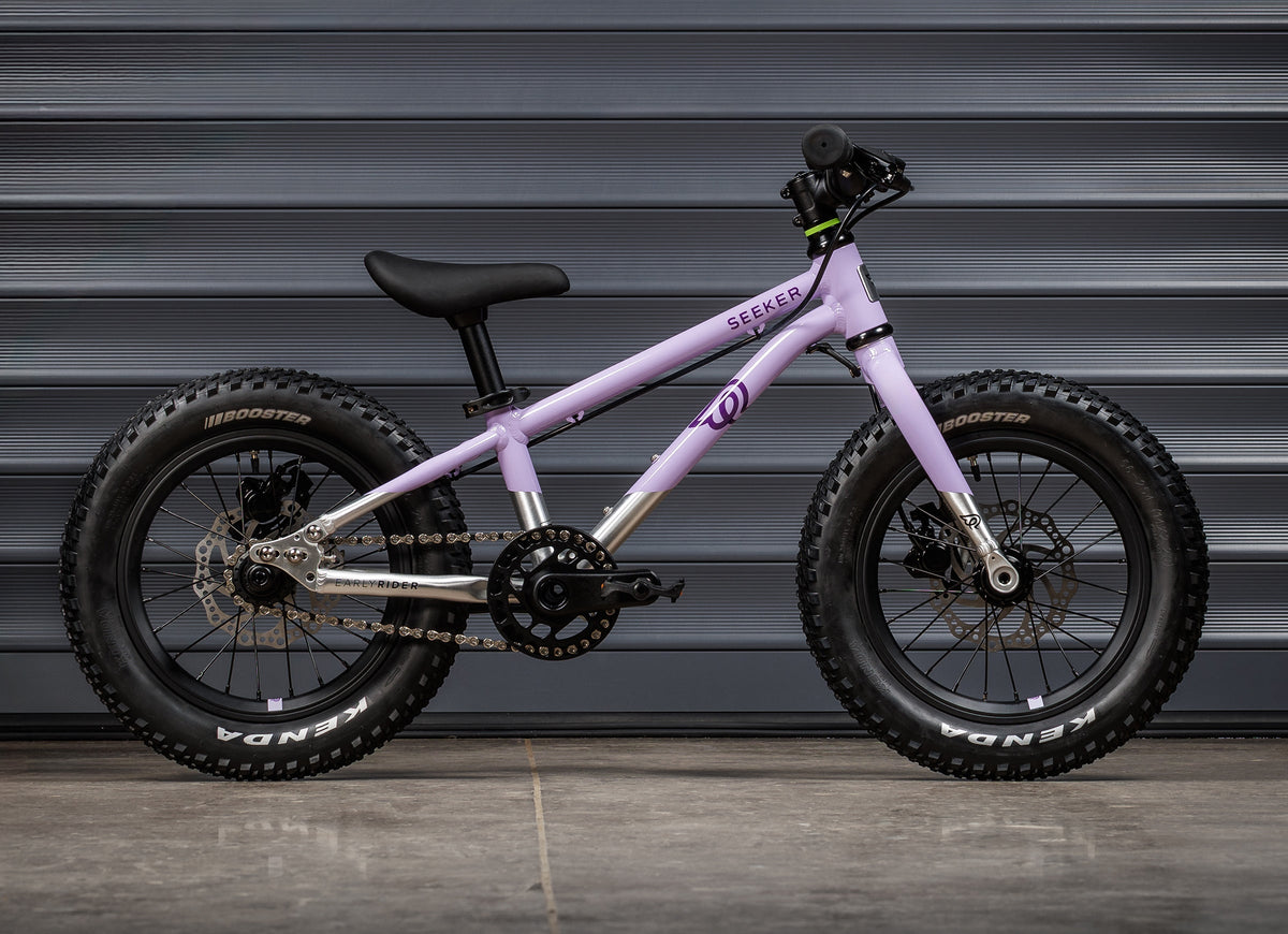 EARLY RIDER Seeker 14 Kids Bike - Violet Haze/Brushed