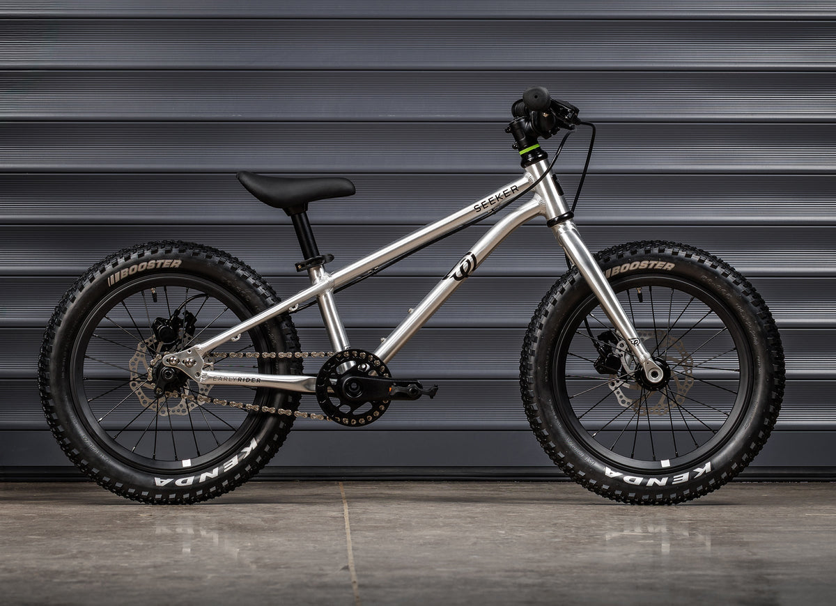 EARLY RIDER Seeker 16 Kids Bike - Brushed Aluminium