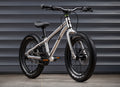 EARLY RIDER Seeker 16 Kids Bike - Brushed Aluminium