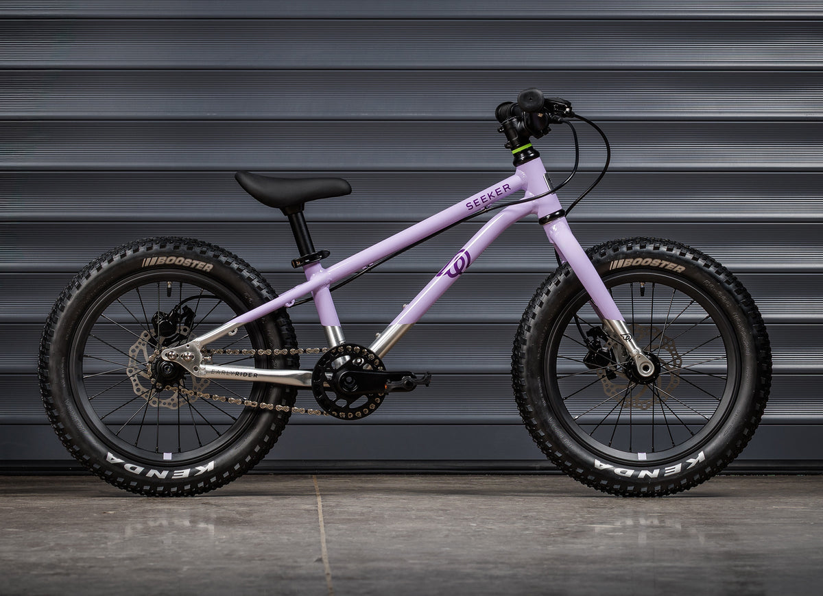 EARLY RIDER Seeker 16 Kids Bike - Violet Haze/Brushed