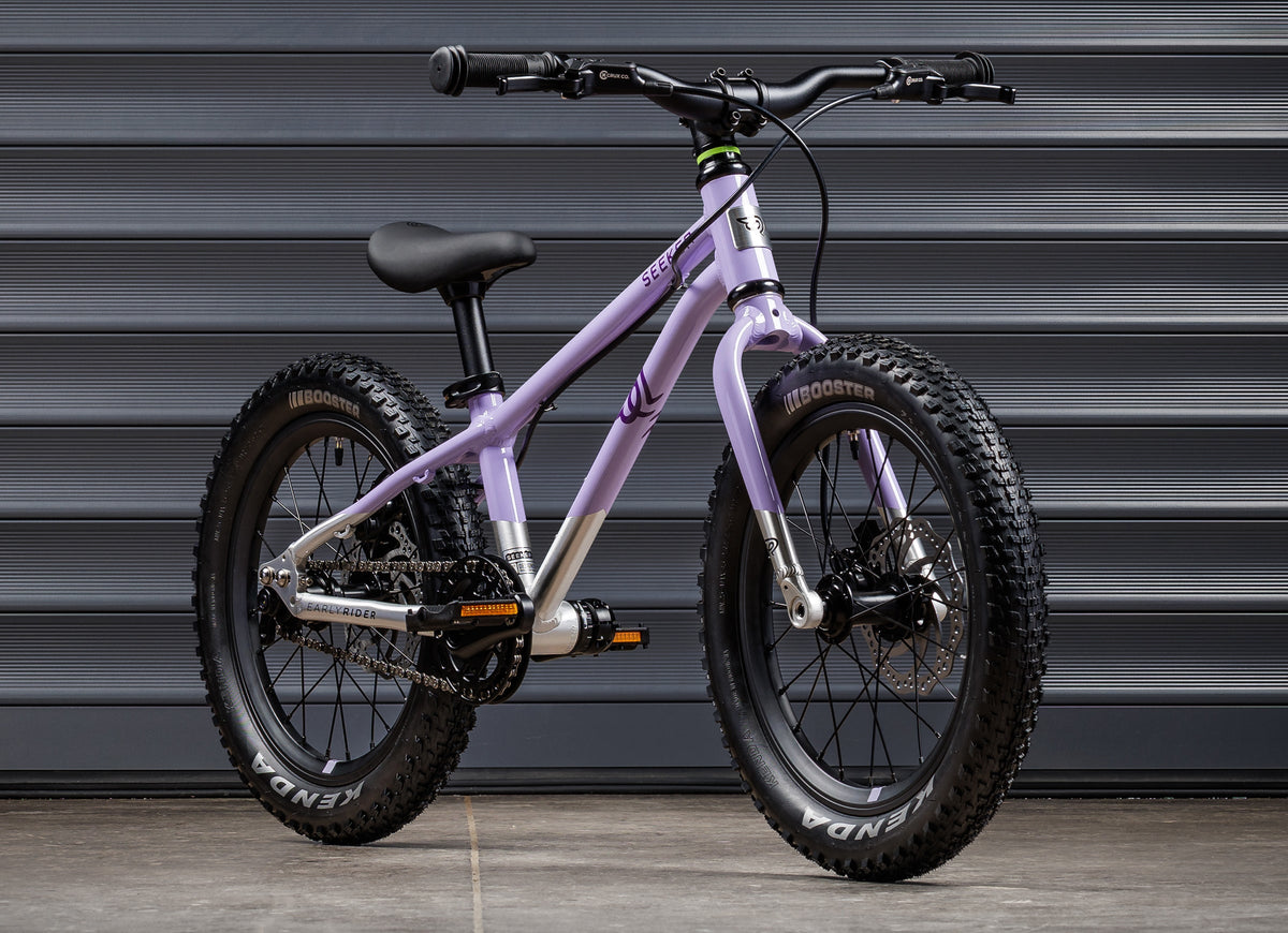 EARLY RIDER Seeker 16 Kids Bike - Violet Haze/Brushed