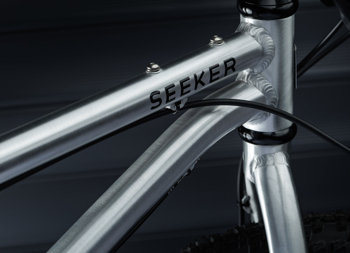 EARLY RIDER Seeker 20 Kids Bike - Brushed Aluminium