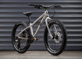 EARLY RIDER Seeker 20 Kids Bike - Brushed Aluminium