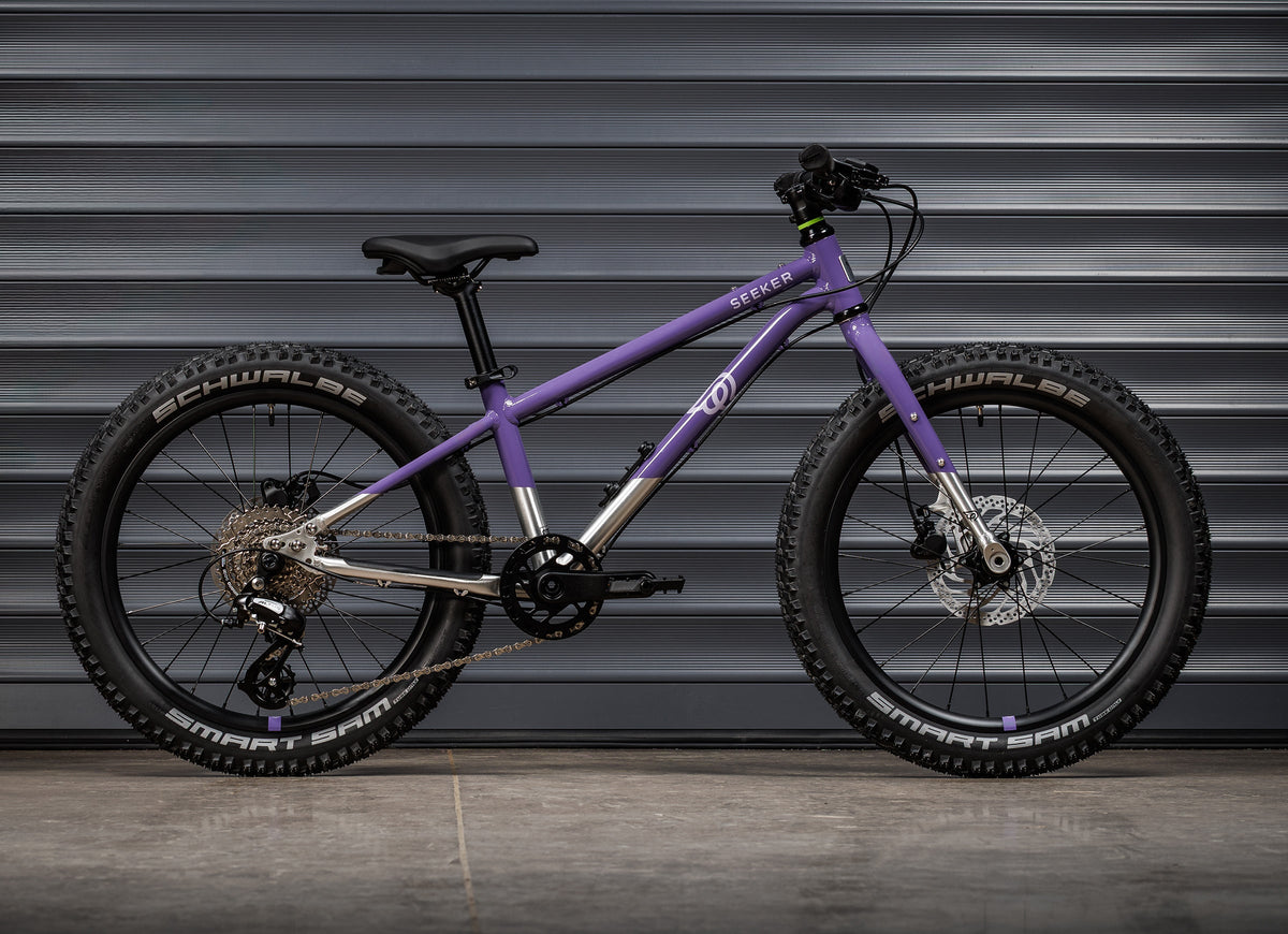 EARLY RIDER Seeker 20 Kids Bike - Electric Purple/Brushed
