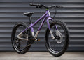 EARLY RIDER Seeker 20 Kids Bike - Electric Purple/Brushed