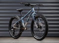 EARLY RIDER Seeker 20 Kids Bike - Nordic Blue/Brushed