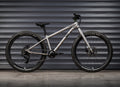 EARLY RIDER Seeker 24 Kids Bike - Brushed Aluminium