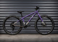 EARLY RIDER Seeker 24 Kids Bike - Electric Purple/Brushed