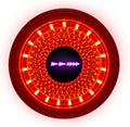 DYNAMIC Red Lyte 100 Rear Light - BLACK