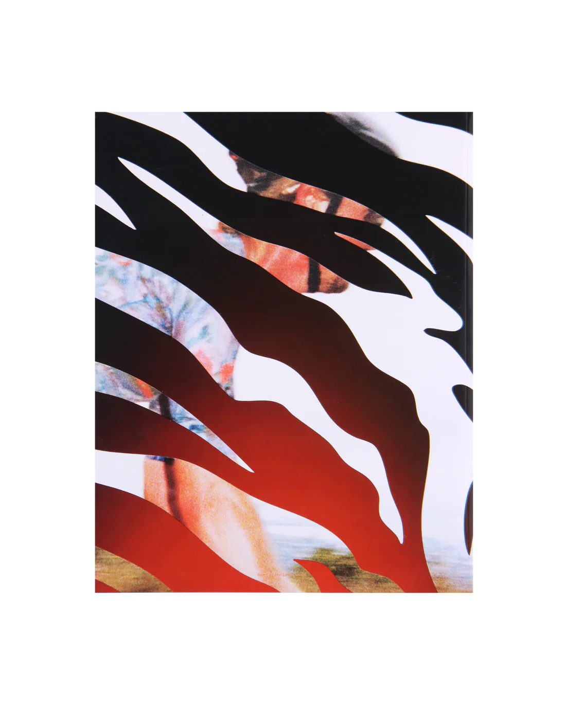 MENTAL ATHLETIC MAGAZINE ISSUE N4/ COVER 2 - KASK