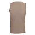NDLSS Baselayer - Desert