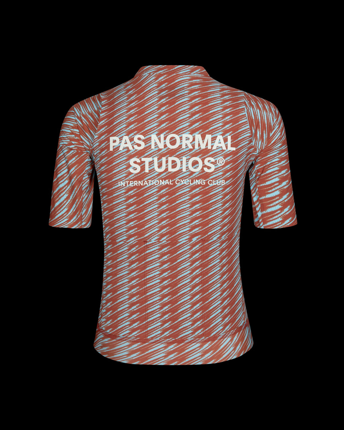 PAS NORMAL STUDIOS Women Solitude Jersey - Sky Blue / Brick