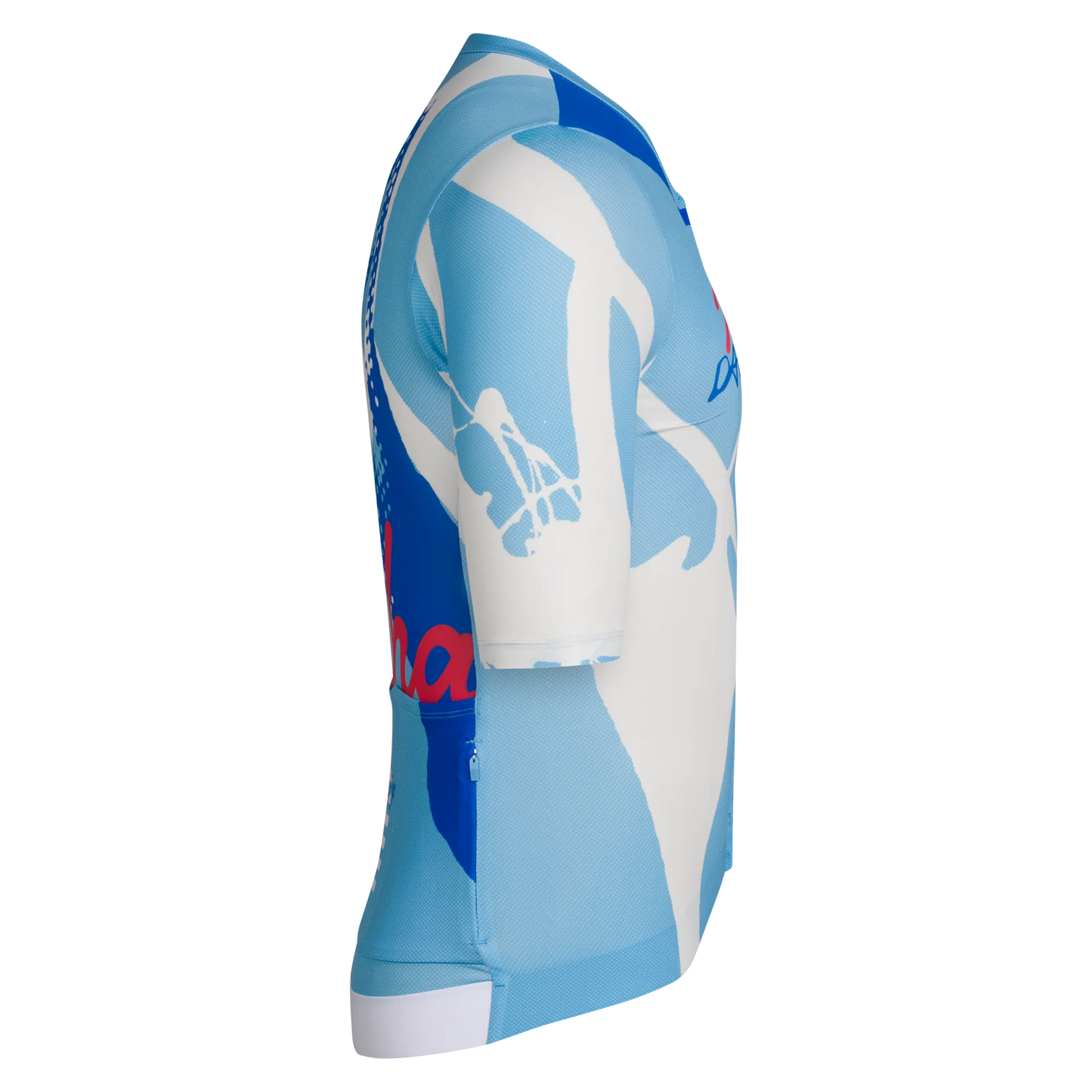 RAPHA Men's Pro Team Rouleur Jersey David Carson - AAB