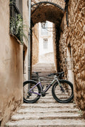 RIDLEY Kanzo Fast 2.0 Gravel Bike - Dark Violet/Green SBIKF2RID019