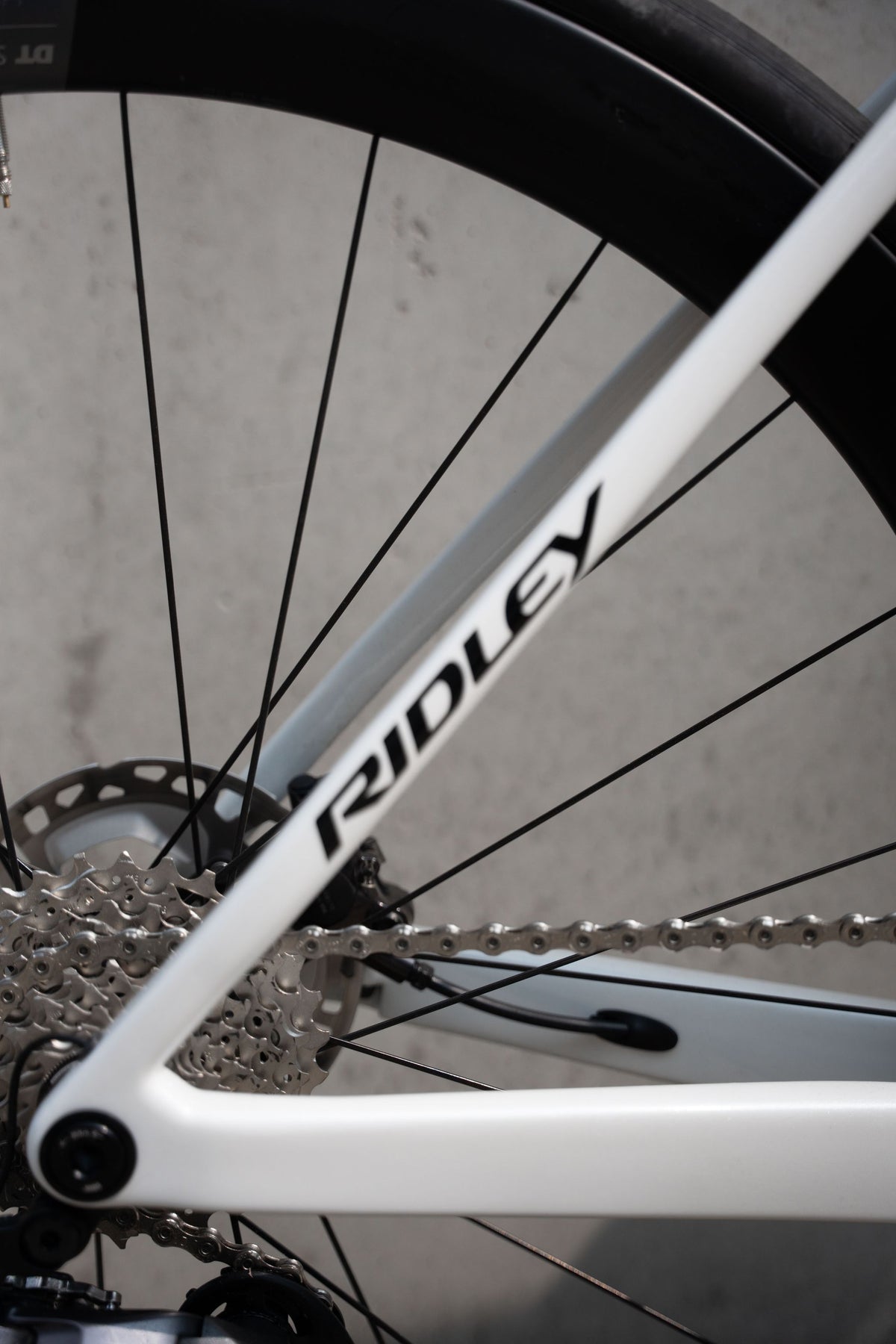 RIDLEY Falcn Road Bike - Pearl White/Silver SBIFALRID173