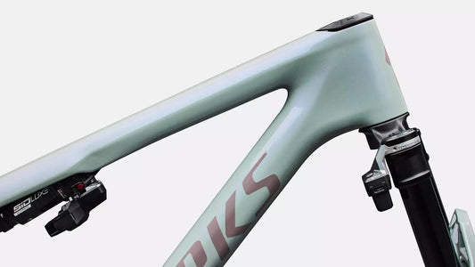 SPECIALIZED Conjunto de cuadro S-Works Epic 9 - Gloss Agave Grey / Violet Pearl / Desert Metallic