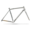SPECIALIZED Crux DSW Frameset - D'Aluisio Smartweld Alloy - Shadow Silver/California Sunshine