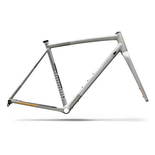 SPECIALIZED Crux DSW Frameset - D'Aluisio Smartweld Alloy - Shadow Silver/California Sunshine