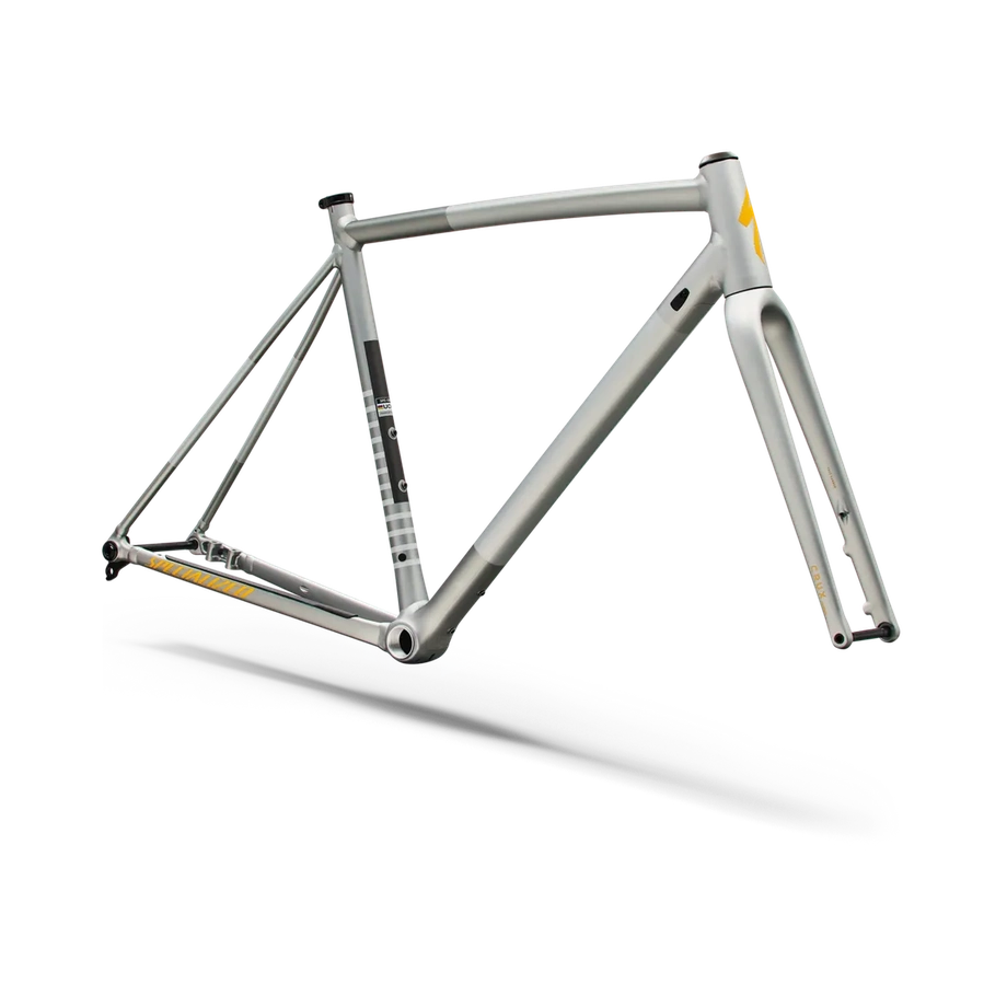 SPECIALIZED Crux DSW Frameset - D'Aluisio Smartweld Alloy - Shadow Silver/California Sunshine