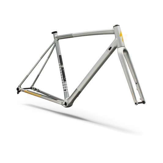 SPECIALIZED Crux DSW Frameset - D'Aluisio Smartweld Alloy - Shadow Silver/California Sunshine