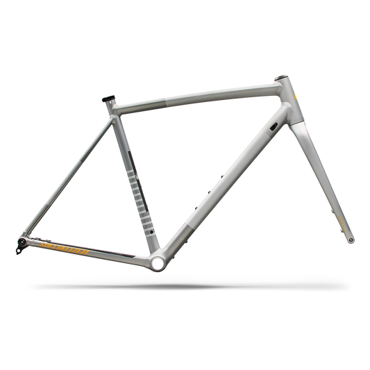 SPECIALIZED Crux DSW Gravel Frameset - Shadow Silver/California Sunshine