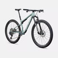 SPECIALIZED Epic 9 Expert Complete MTB - Gloss Agave Grey / Metallic White Silver