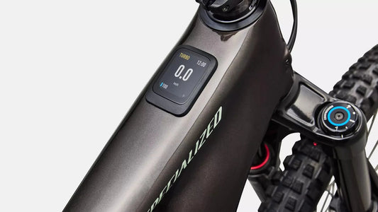 SPECIALIZED Levo 4 EVO Comp - Gloss Warm Smoke / Pistachio