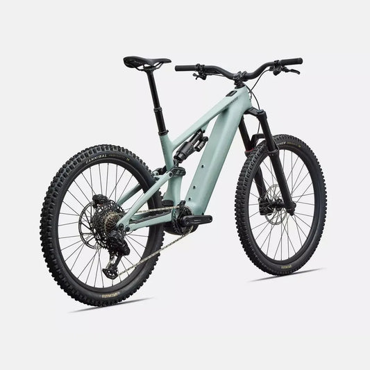 SPECIALIZED Levo 4 EVO Comp - Satin Agave Grey / Desert Metallic
