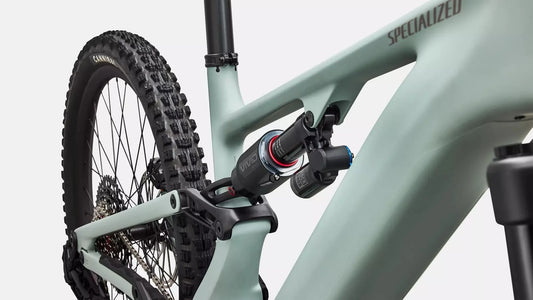 SPECIALIZED Levo 4 EVO Comp - Satin Agave Grey / Desert Metallic
