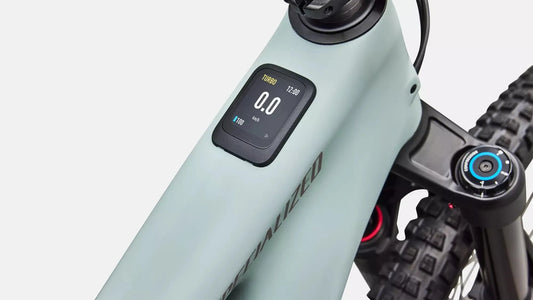SPECIALIZED Levo 4 EVO Comp - Satin Agave Grey / Desert Metallic
