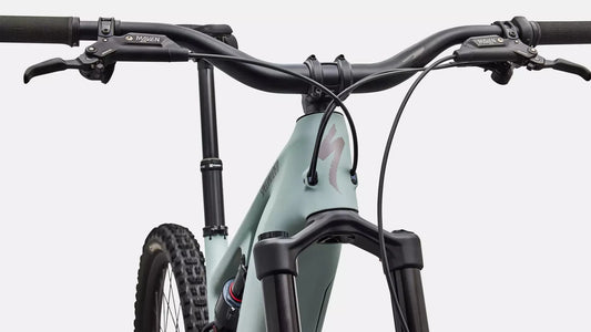 SPECIALIZED Levo 4 EVO Comp - Satin Agave Grey / Desert Metallic