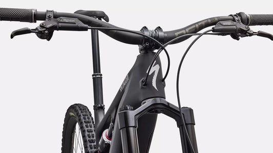 SPECIALIZED Levo 4 EVO Pro - Satin Carbon / Dolomite