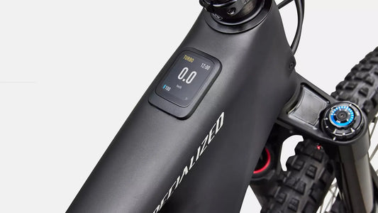 SPECIALIZED Levo 4 EVO Pro - Satin Carbon / Dolomite