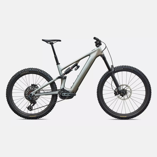 SPECIALIZED Levo 4 EVO Pro - Satin Shadow / Silver Dust