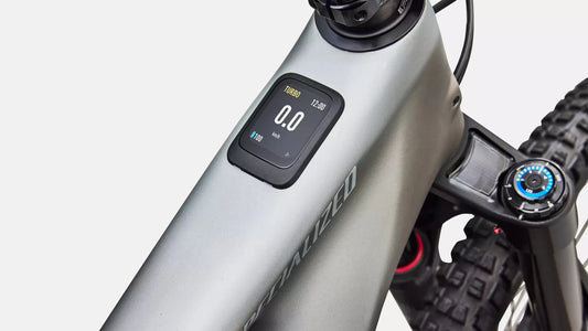 SPECIALIZED Levo 4 EVO Pro - Satin Shadow / Silver Dust